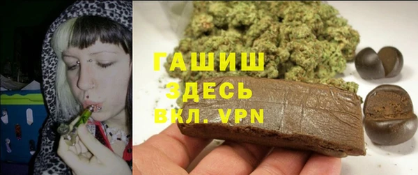 индика Переславль-Залесский