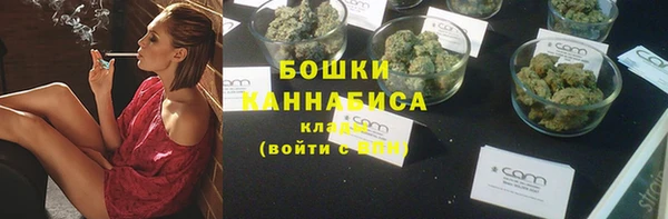 ГАЛЛЮЦИНОГЕННЫЕ ГРИБЫ Пересвет