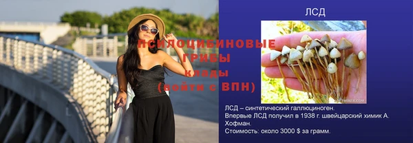 ешки Покров