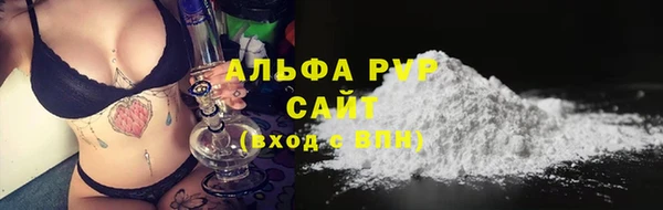 стафф Покачи