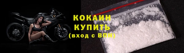 индика Переславль-Залесский