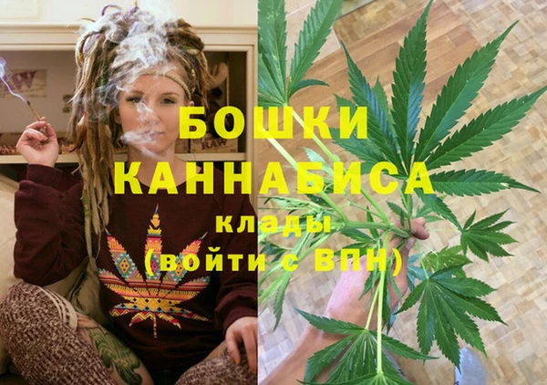 стафф Покачи