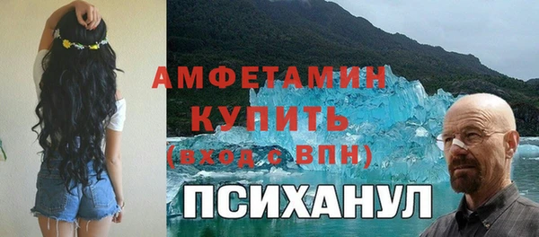 индика Переславль-Залесский