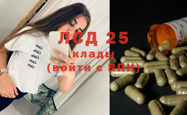 ГАЛЛЮЦИНОГЕННЫЕ ГРИБЫ Пересвет