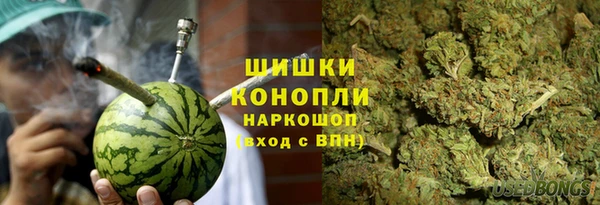 ГАЛЛЮЦИНОГЕННЫЕ ГРИБЫ Пересвет