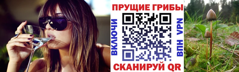 MEGA сайт  даркнет сайт  Ряжск  Псилоцибиновые грибы прущие грибы 